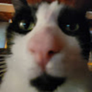 Meet your Posher, Avi